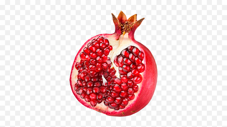 Painting Of Pomegranate Watercolor Painting Drawing Fruit - Pomegranate Transparent Background Emoji,Emoji Gernade