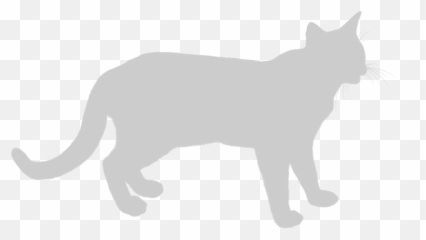 Cats - The Good Vet And Pet Guide Emoji,Cat Emotions Outline
