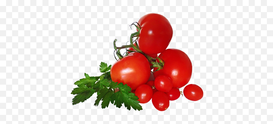 300 Free Tomatoes U0026 Tomato Illustrations Emoji,Tomatoe Emoji