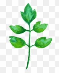 Emoji,Basil Leaf Emoji