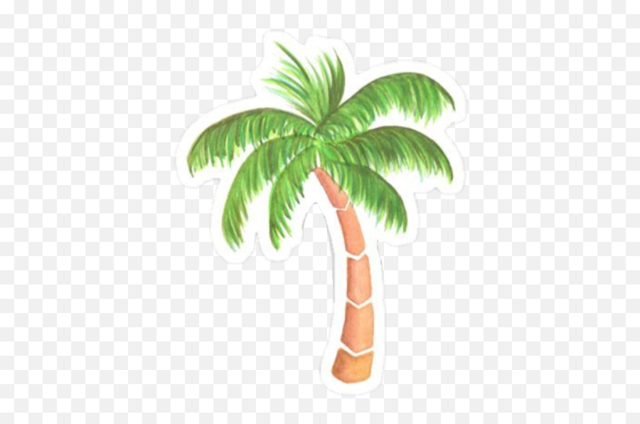 Palm Tree Sticker Challenge On Picsart - Tropical Palm Tree Sticker Emoji,Palm Tree Emoji