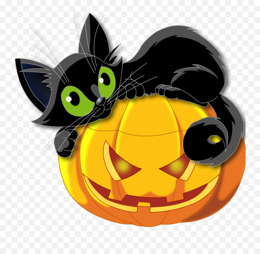 Cat Pumpkin Halloween Png Picture - Transparent Background Halloween Black Cat Clipart Emoji,Pumpkin Emoji