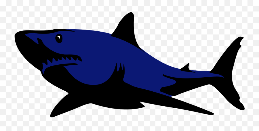 Free Shark Fish Illustrations - Transparent Background Shark Clipart Emoji,Shark Emoji
