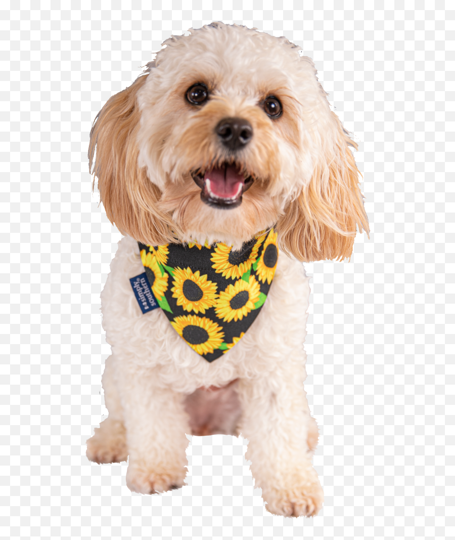 Simply Southern Dog Bandana Sunflowers Emoji,Dog With Glasses Emojis