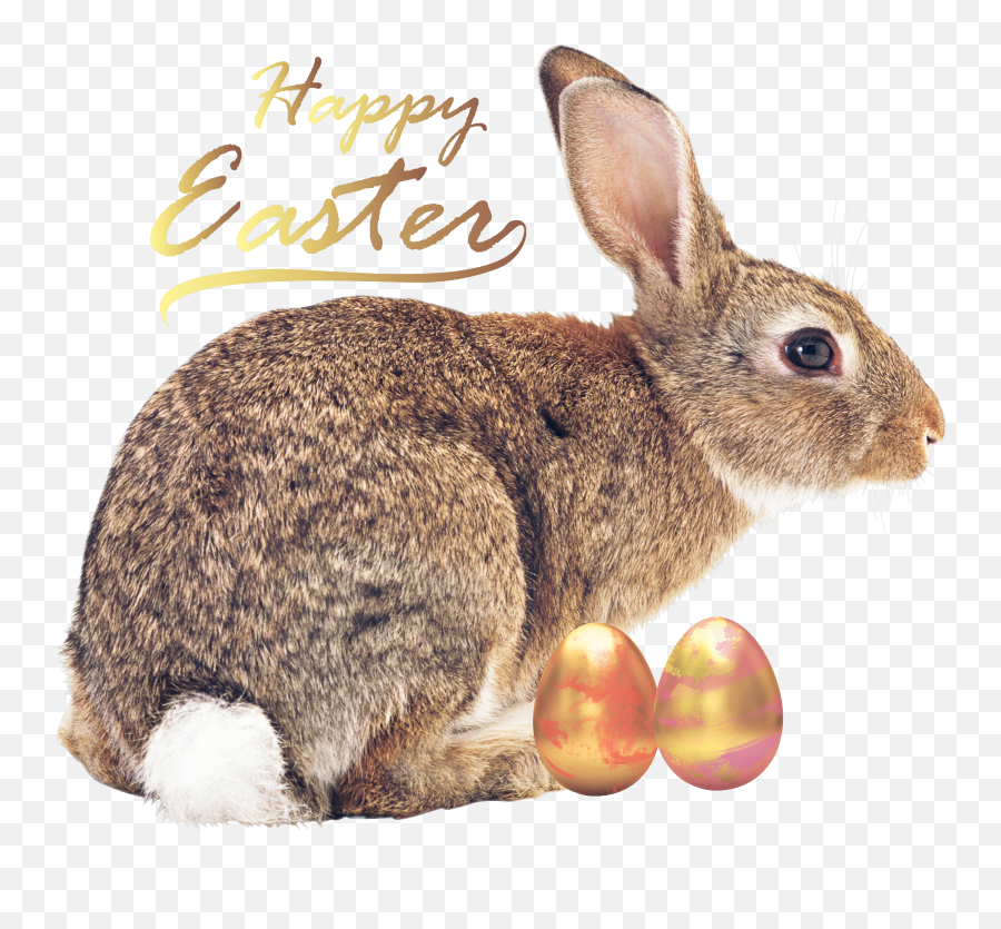 Easter Bunny Sticker Challenge On Picsart - Rabbit Emoji,Bunny And Egg Emoji
