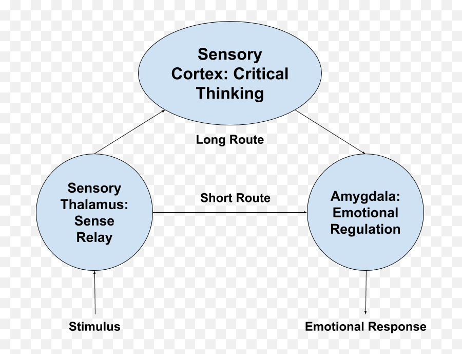 Using Science - Vertical Emoji,Appeal To Emotion