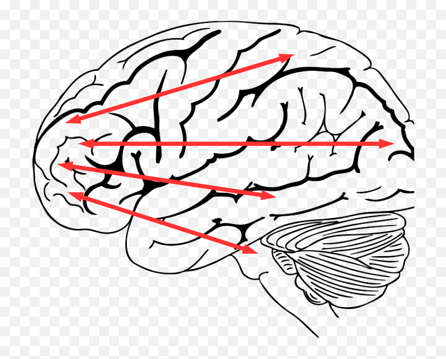 On Imagination Feelings And Brain Regions U2013 Selfawarepatterns - Brain Drawing Transparent Emoji,Primal Emotions