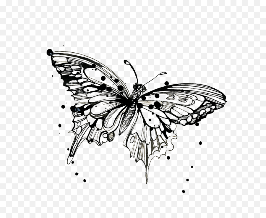 Tattly Temporary Tattoos Monarch Butterfly Drawing - Average Monarch Butterfly Outline Tattoo Emoji,Black And White Emoji Tattoo