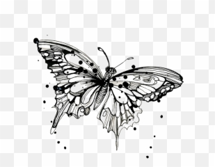 Tattly Temporary Tattoos Monarch Butterfly Drawing - Average Monarch Butterfly Outline Tattoo Emoji,Black And White Emoji Tattoo