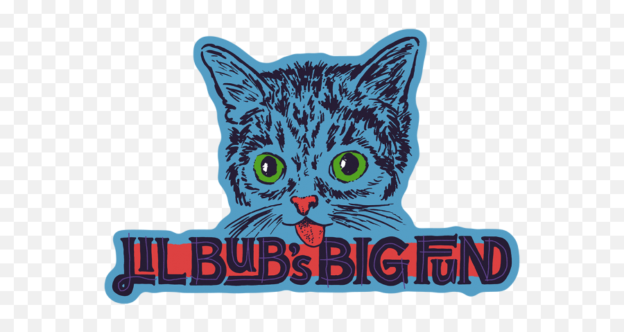 Lil Bubu0027s Big Fund Home - Domestic Cat Emoji,Little Big Planet Emotions