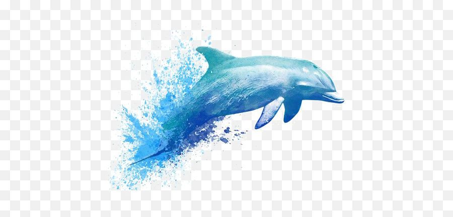 Download Watercolor Tattoo Dolphin Painting Drawing Png Free - Dolphin Water Color Tattoo Emoji,Dolphin Emoticon