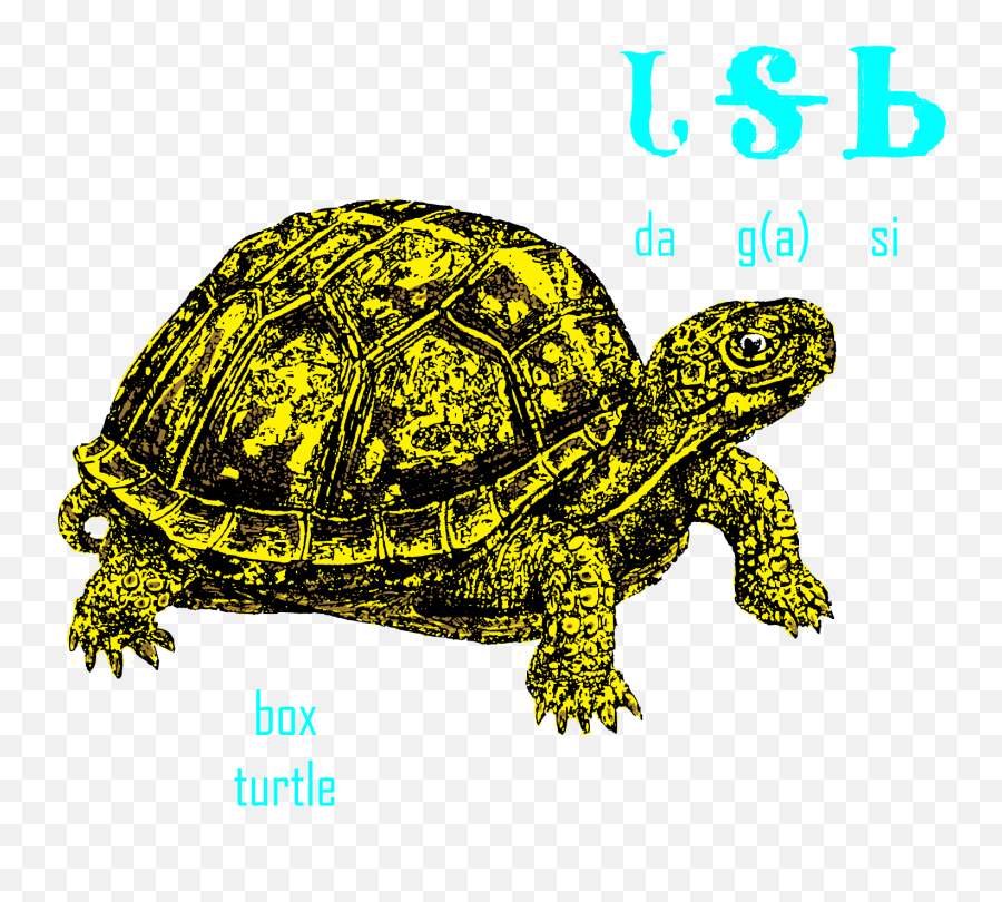 Animals U2013 Bridgesfambooks Emoji,Turtle Emoji On My Device