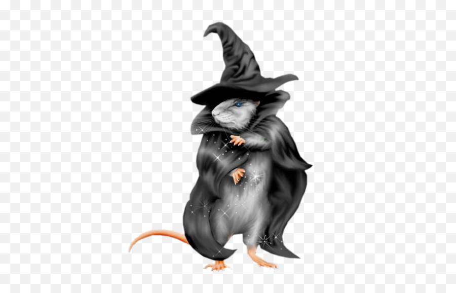 Halloween Mouse Witch Hat Witchhat - Tube Fond Halloween Png Emoji,Witches Hat Emoji