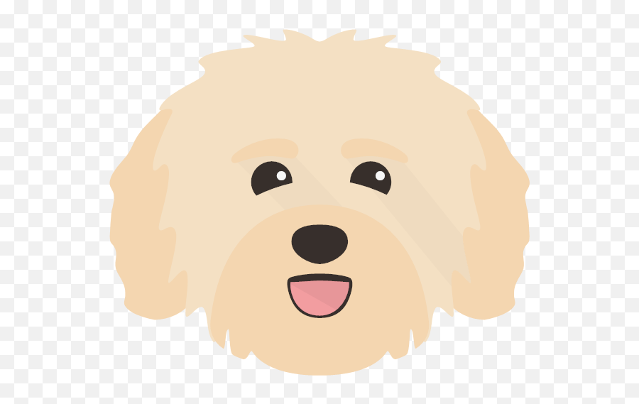 Personalized Havanese Leashes U0026 Collars Yappycom - Dog Emoji,Walking My Dog Emojis