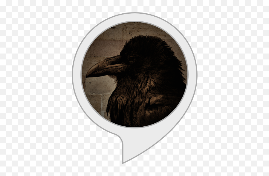 Amazoncom Outlier Game Alexa Skills - Common Raven Emoji,Cr Ow Emoticon