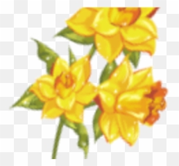 Blog The Free Presbyterian Church In Cloverdale - Primrose Emoji,Animated Emoticon Bragging
