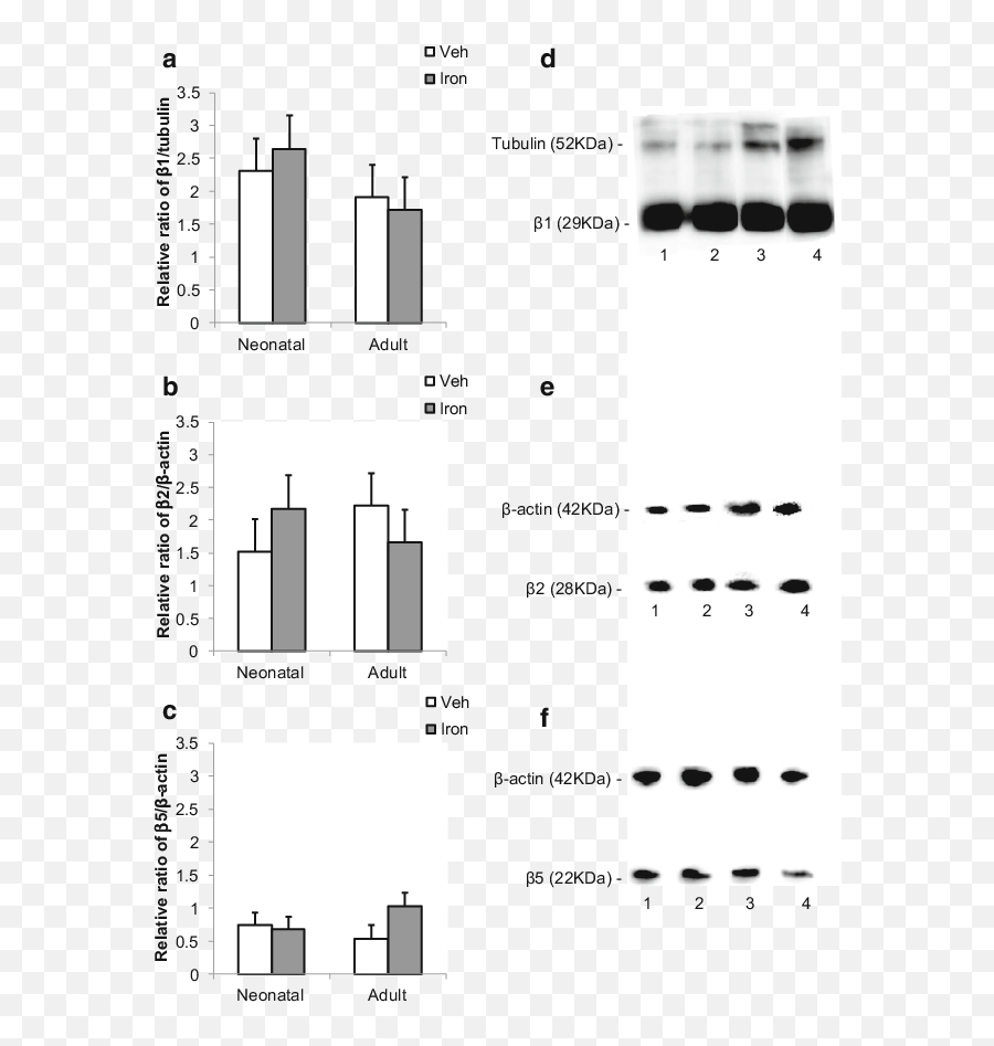 Effects Of Neonatal Iron Treatment - Dot Emoji,Iron Hands Emotion Inhibitor