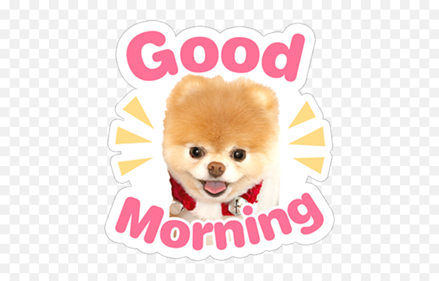 Animal Cute Sticker For Whatsapp - Animal Imagenes De Stickers De Whatsapp Emoji,Emojis De Whatsapp Mu?ecas