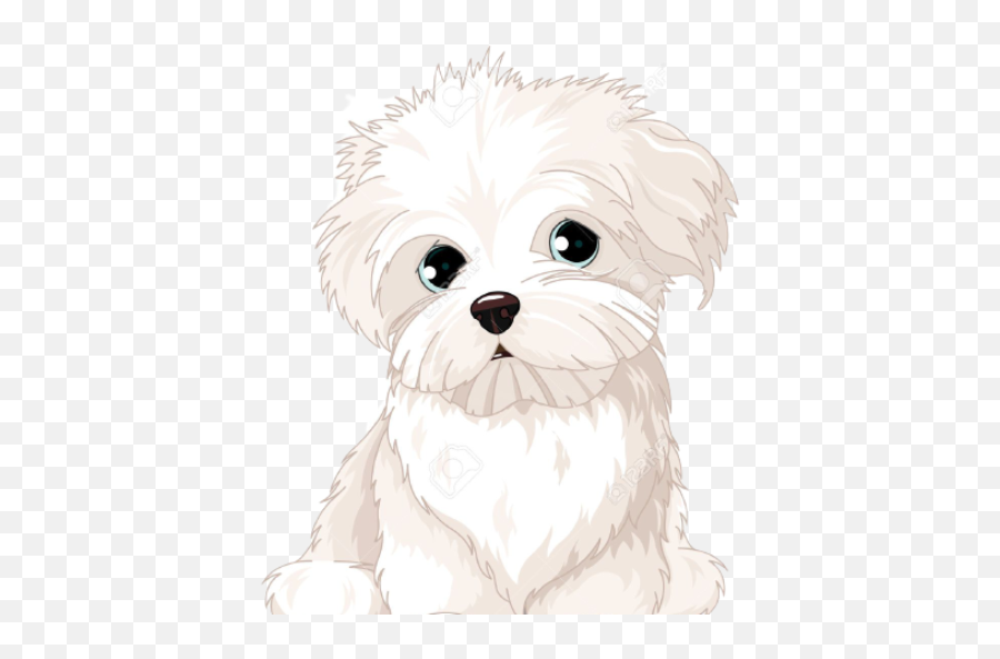 Maltipoopuppsforsale Maltipoopuppsforsale - Maltese Emoji,Emojis Lab Pups