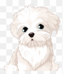 Maltipoopuppsforsale Maltipoopuppsforsale - Maltese Emoji,Emojis Lab Pups