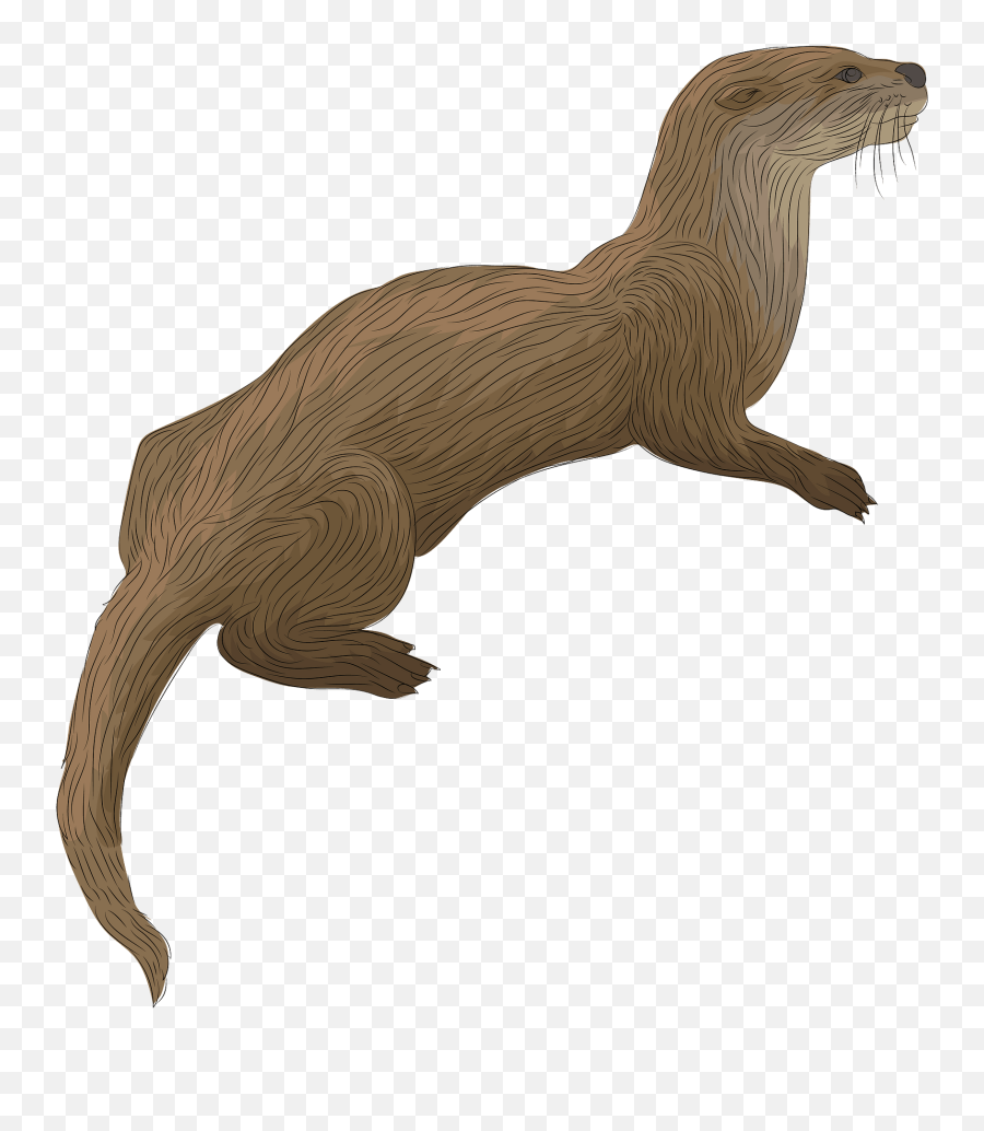 River Otter Clipart - Transparent River Otter Clipart Emoji,Weasel Emoji