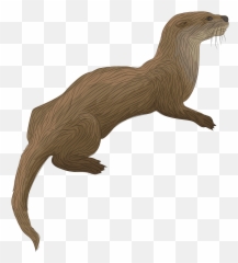 River Otter Clipart - Transparent River Otter Clipart Emoji,Weasel Emoji