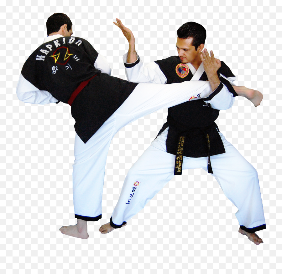 340 Hapkido Ideas Hapkido Martial Arts Martial Emoji,Manwa Emotion Dance Videos