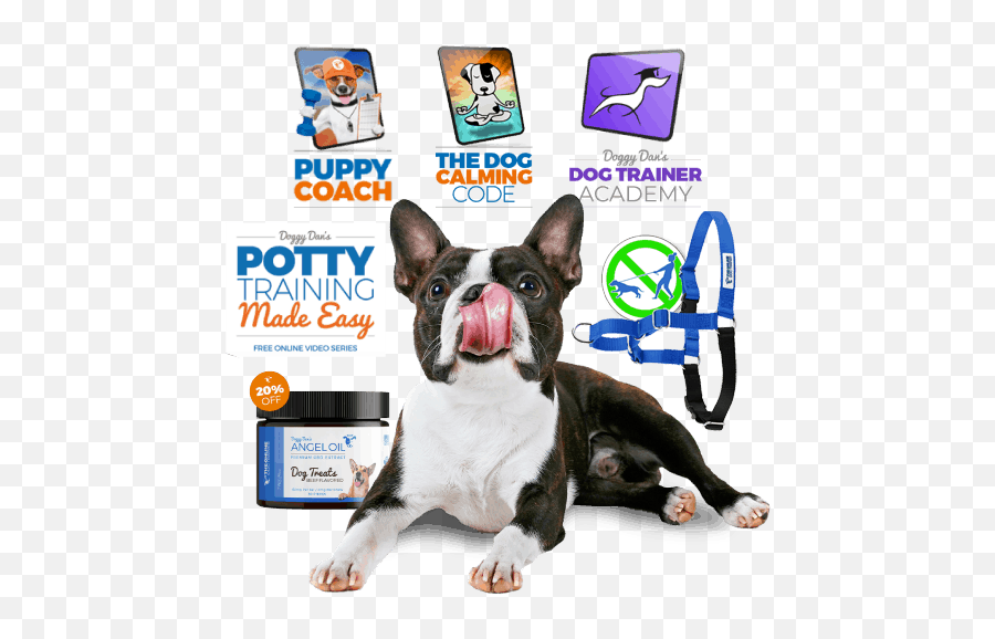 The Online Dog Trainer From Doggy Dan Emoji,Dog Emotion Trigger