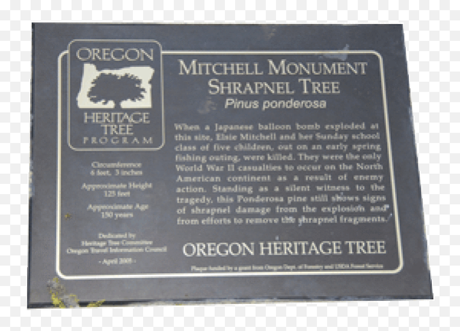 Object Lessons Mitchell Monument Shrapnel Tree Email Emoji,Aruba 12 Ss Vs Emotion 11 Object Lessons Mitchell Monument Shrapnel Tree Email Emoji,Aruba 12 Ss Vs Emotion 11