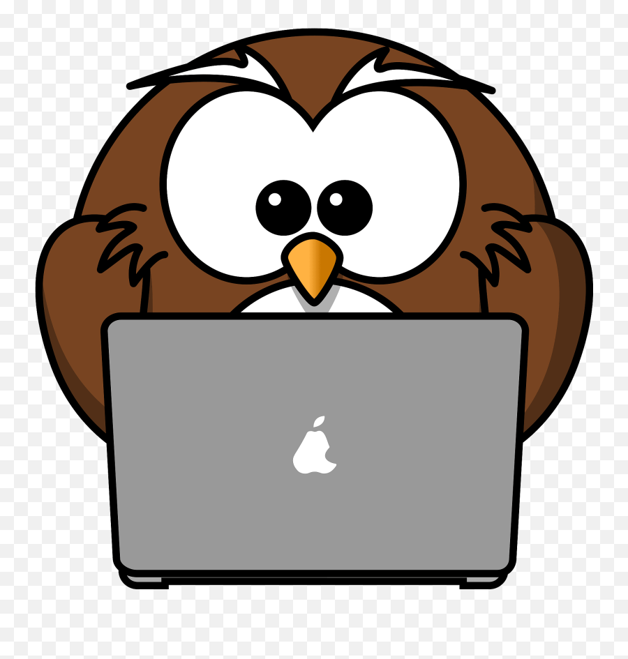 Owl With Laptop Clipart - Cartoon Owl On Computer Emoji,Esperanto Flag Emoji