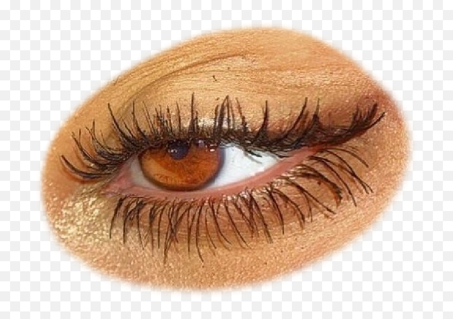 Brown Pretty Eye Makeup Aesthetic Sticker By Sophie B - Eye Emoji,Brown Eye Emoji