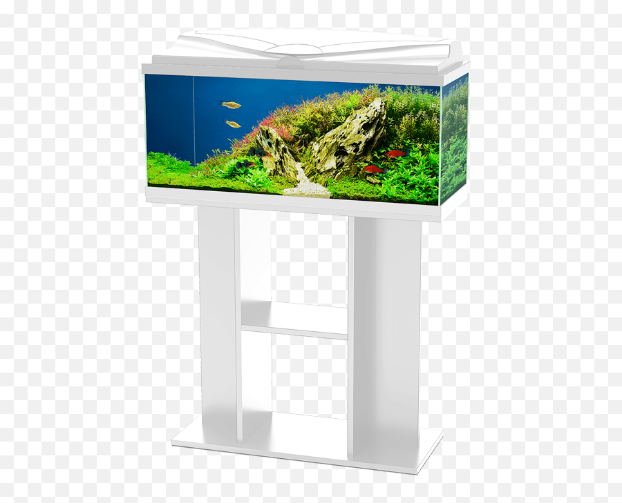 Ciano - Artificial Aquarium Plant Emoji,Ciano Emotions 80