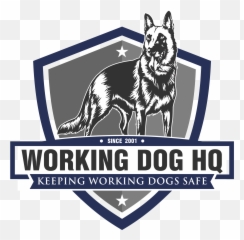 K9 Knife Wounds To The Chest - Colegio Domingo Santa Maria Puerto Montt Emoji,Bbc Dogs Emotions
