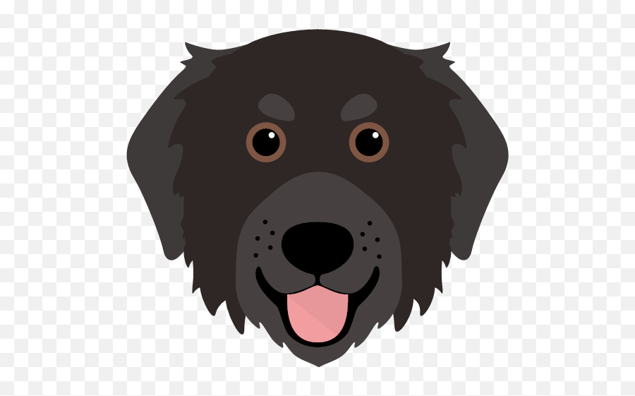 Personalised Bernedoodle Phone Covers Yappycom - Northern Breed Group Emoji,Emoji Doodle Phone Case