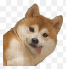 Netwrks Netwrksio Twitter Emoji,Emoji Movie Talking Dogs