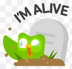 The Most Edited Corujinha Picsart - Duolingo Dead Meme Emoji,Emoticon Explorador