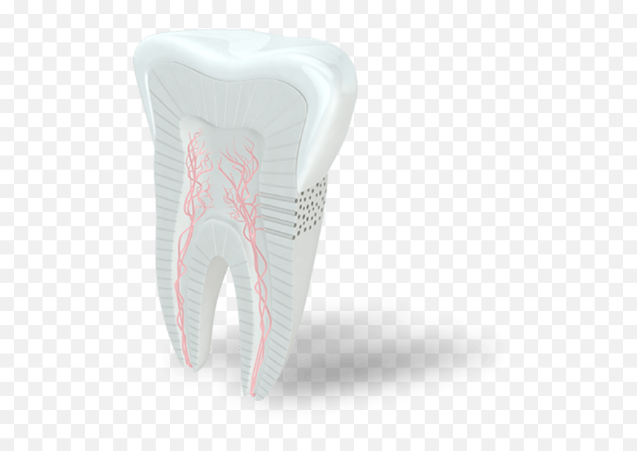 Is It A Cavity Or Sensitive Teeth Sensodyne - Vertical Emoji,Tooth Chart With Emotions And Organs Interrelated