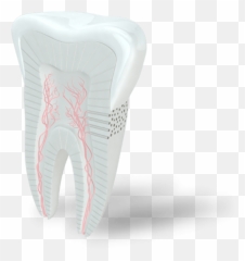 Is It A Cavity Or Sensitive Teeth Sensodyne - Vertical Emoji,Tooth Chart With Emotions And Organs Interrelated