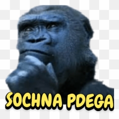 Mirzapur S 2 Funny Faces Quotes Funny Texts Jokes Cute Emoji,Gorillas Emotions