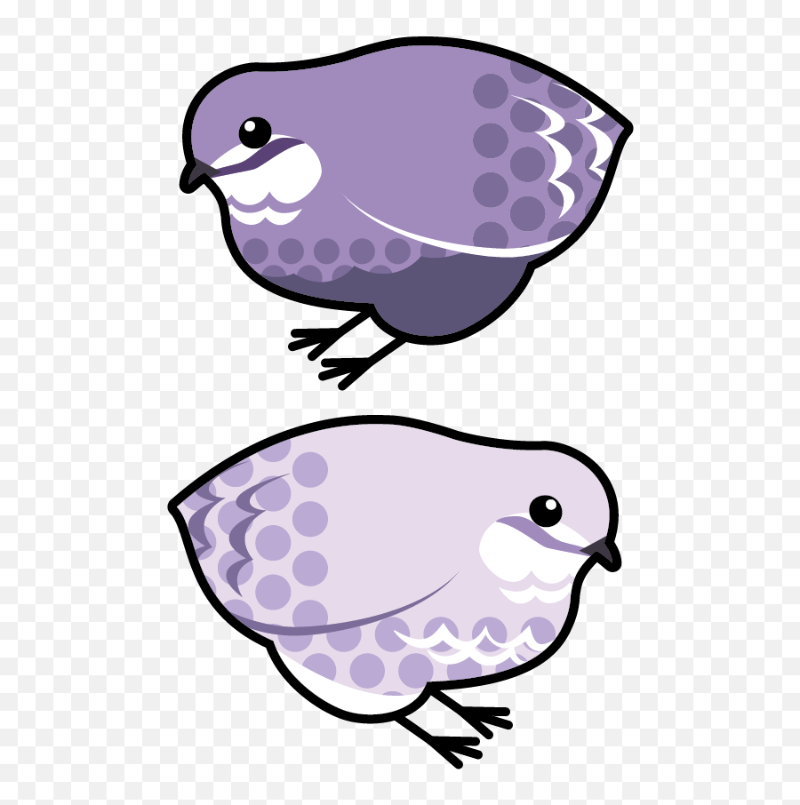 Bobaquailu0027s Art - Soft Emoji,Quail Emoji