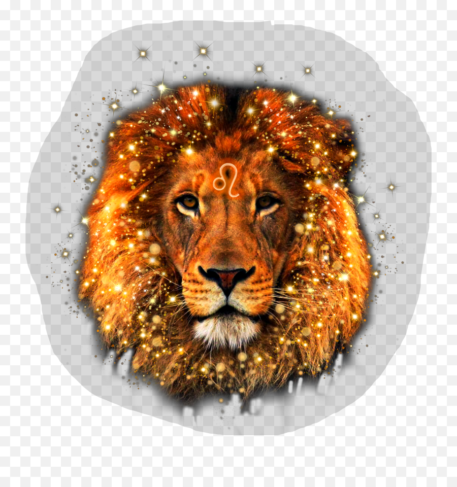Lion Leo Zodiac Summer Sticker By Fg - East African Lion Emoji,Leo Zodiac Emoji