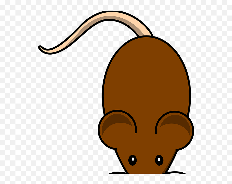 25 Gambar Kartun Tikus - Tikus Kartun Png 2 Png Image Animal Top View Mouse Emoji,Emoticon Tentara