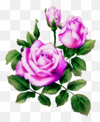 Flower Wallpaper - Gif Fiore Emoji,Glittery Gif Emoticon Extensions