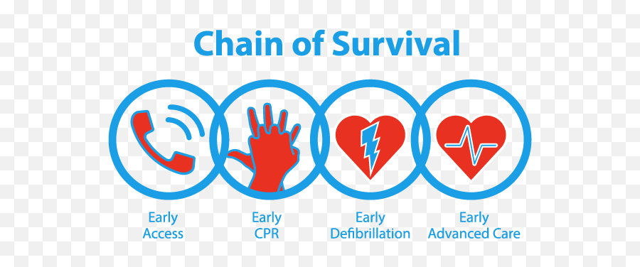 S - Chain Of Survival 2020 Emoji,How To Make Heart Emoticons On Facebook