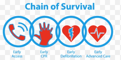 S - Chain Of Survival 2020 Emoji,How To Make Heart Emoticons On Facebook