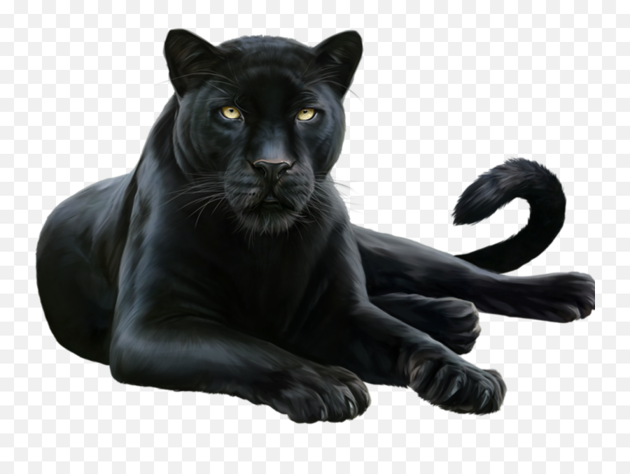 Kittypanther Sticker By Karah Z - Puma Animal Black Png Emoji,Panther Emoji