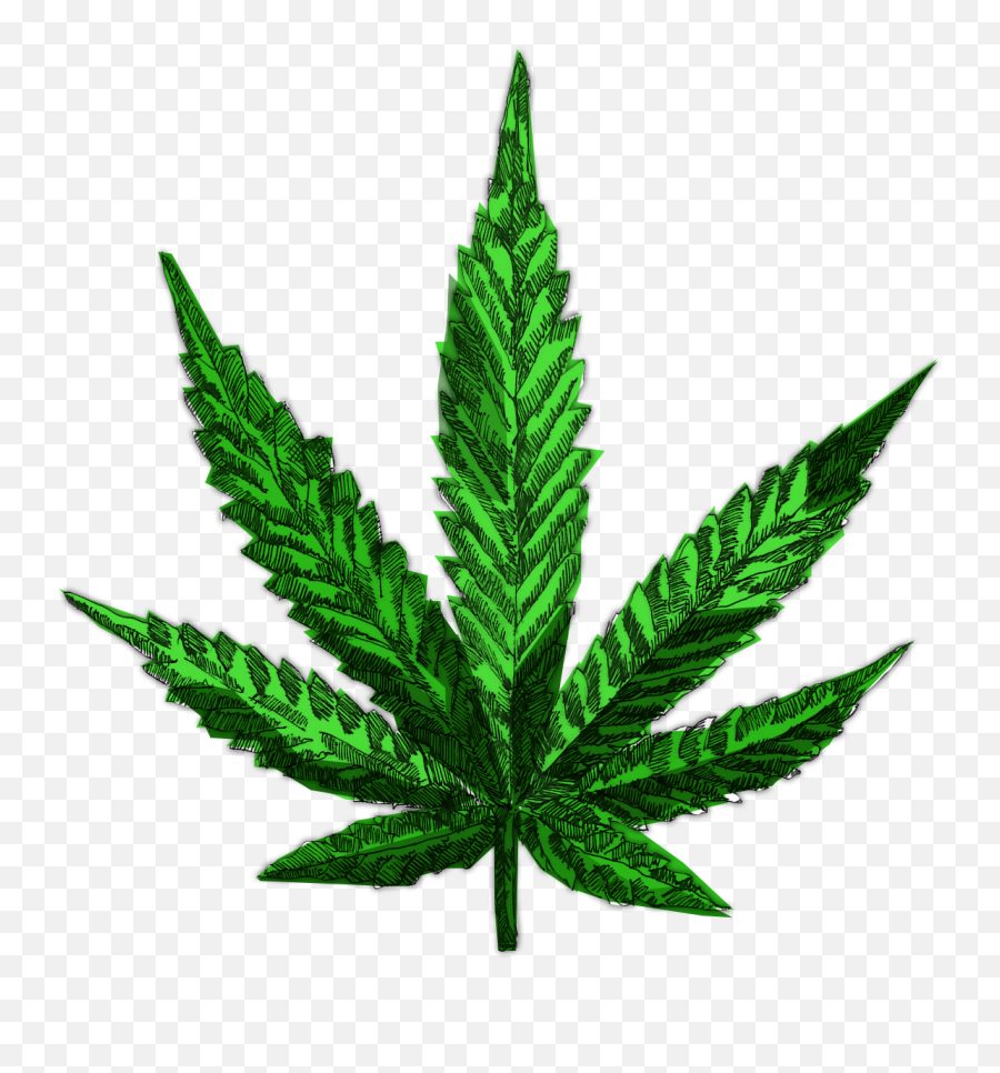 Growweedeasycom - Weed Plant Leaf Printable Emoji,Snapchat Green Emoji