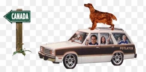 15 Of The Weirdest Laws About Dogs That Are Still Legal In - Station Wagon Emoji,Emoji Movie Talking Dogs