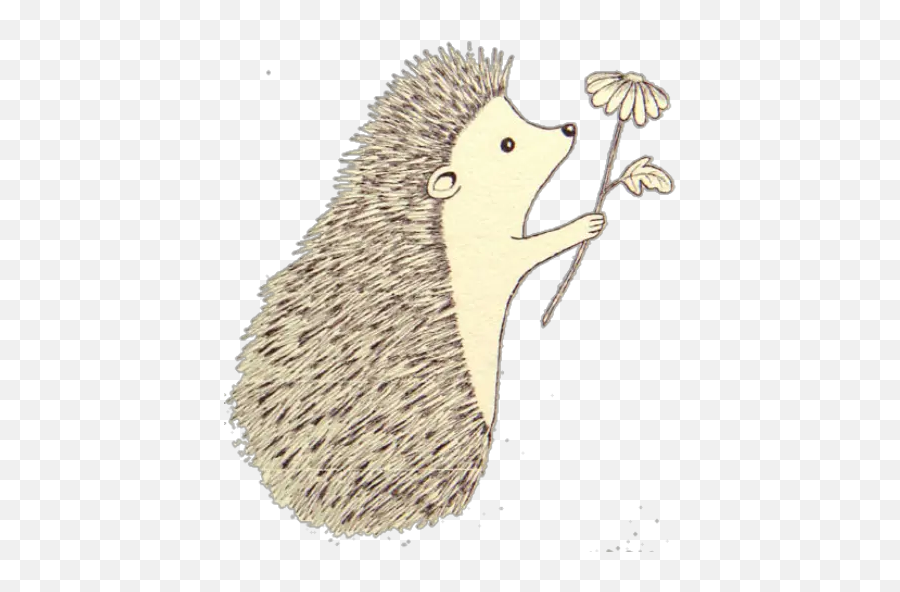 Stickers Erizos 3 Stickers For Whatsapp - Cute Hedgehog Drawing Emoji,What Does The Porxupine Emoticon