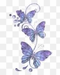 Butterflies Photo Blue Butterflies Butterfly Photos Blue Emoji,Blue Butterfly Emoji Mean